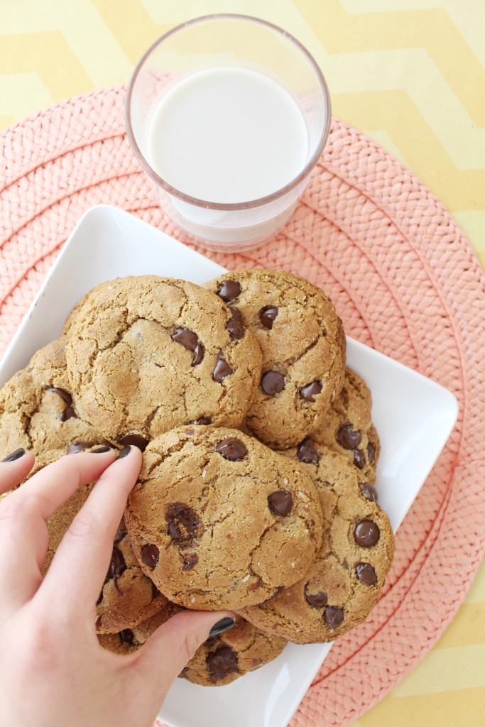  Paleo and Gluten-Free Dark Chocolate Chip Cookie Recipe